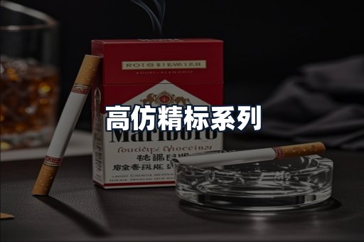 高仿精标系列